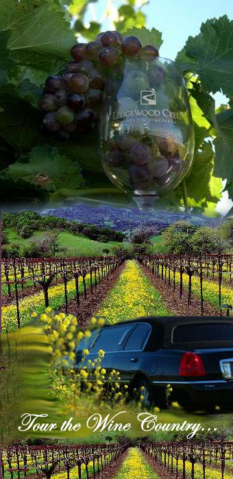 Collage created by Shars Web Designs of sceneries from the wine country near Napa.